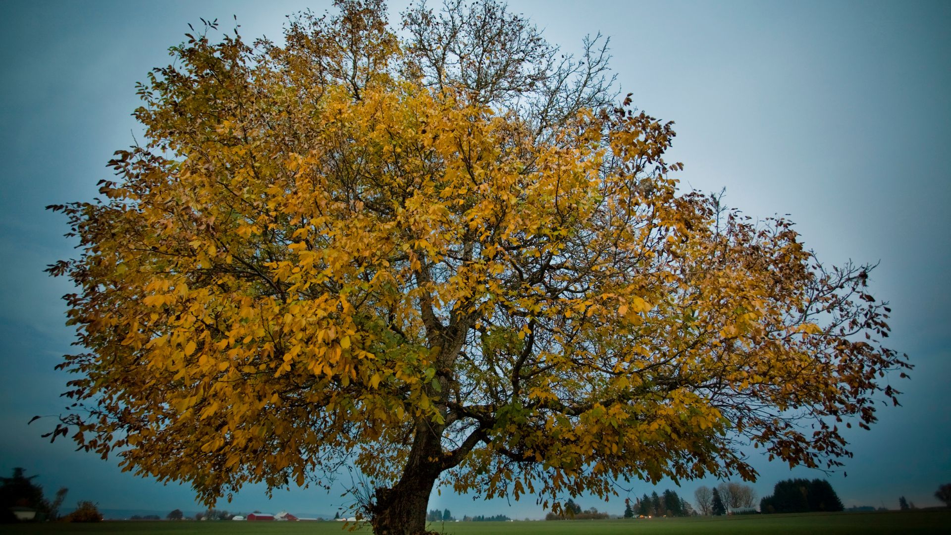 Untitled design – 2023-05-24T080753.589